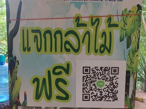 ปลูกต้นไม้ วันต่อต้านยาเสพติด